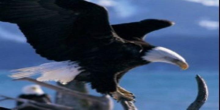 jaybeelomo's profile banner image