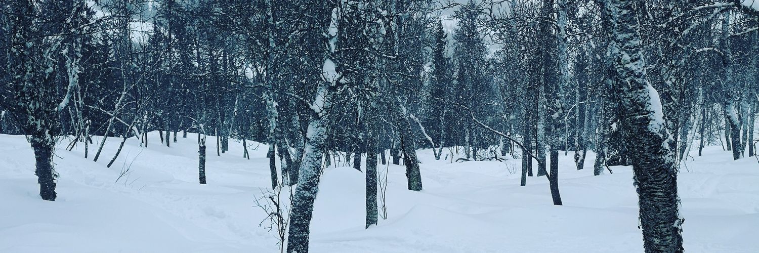 DamonCrawf's profile banner image