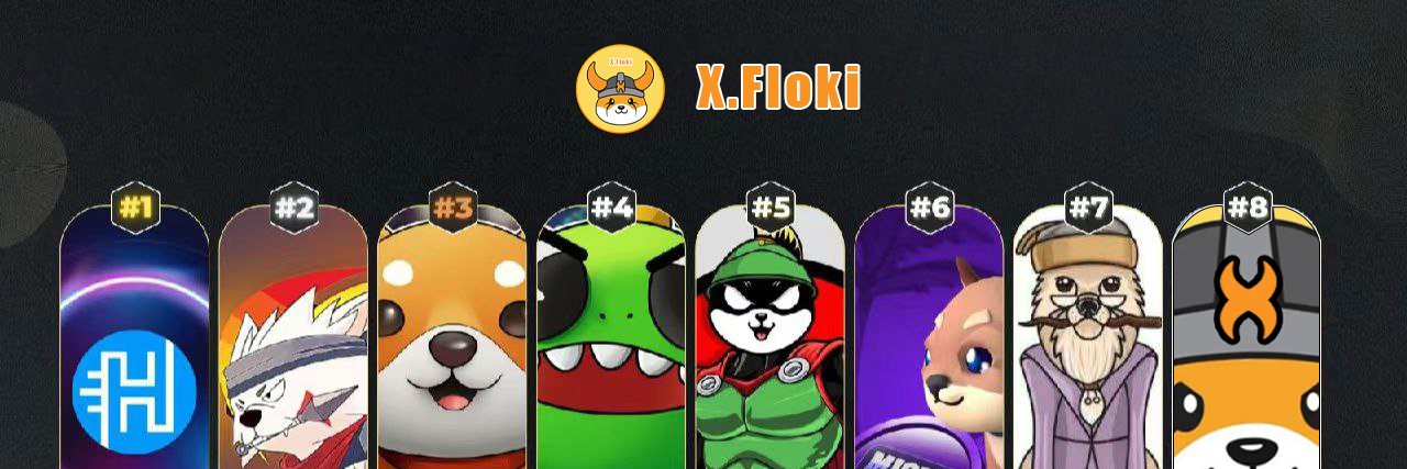 XFlokiBSC's profile banner image