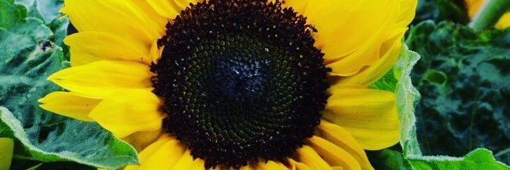 BIANCOGIRL's profile banner image