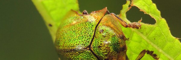 wendyssae Profile Banner