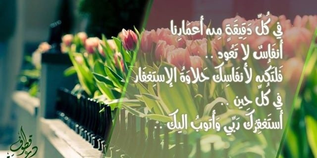 raniaalinab11's profile banner image
