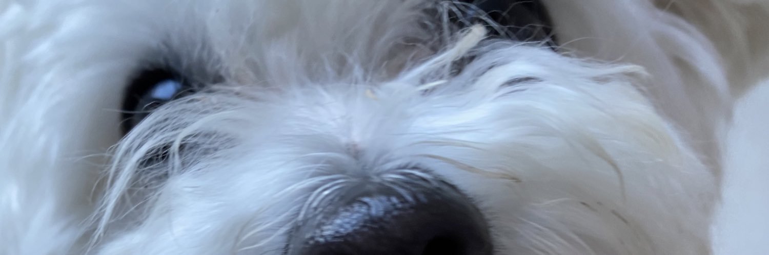 M0RGANANAS's profile banner image