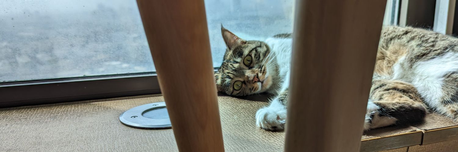 Poorya Attaran banner