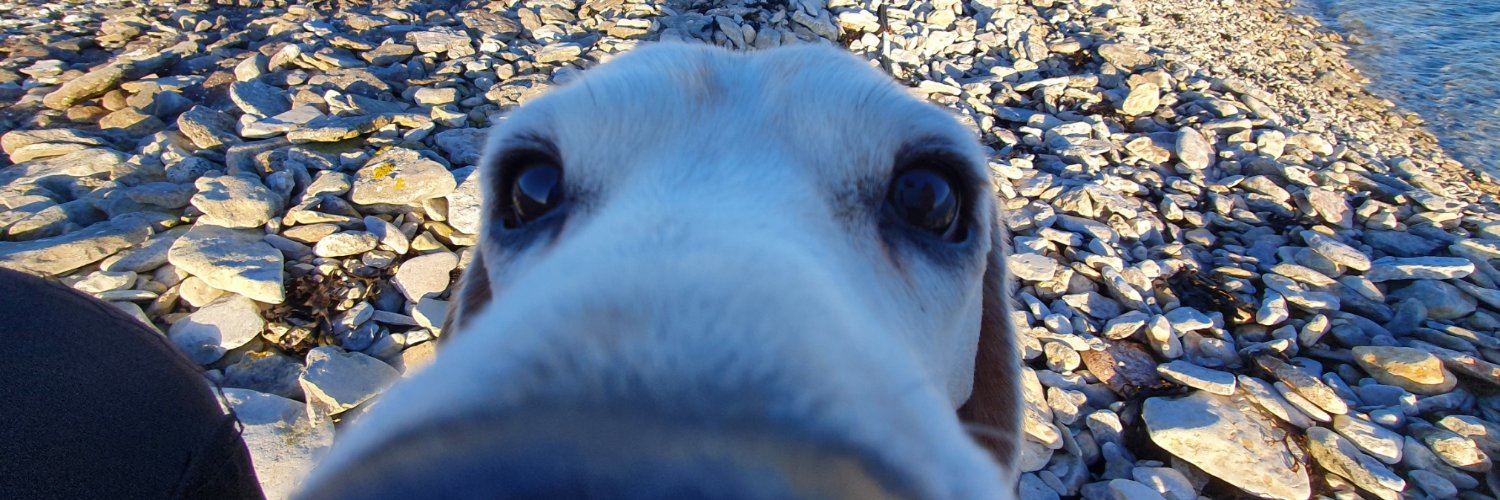 Alexander ’Pawn’ Peck banner