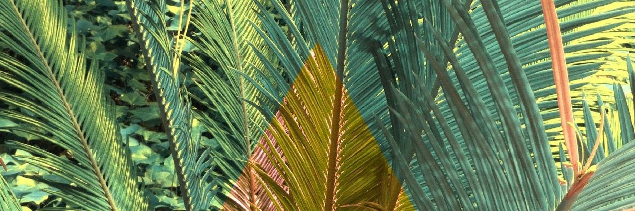 ninasans's profile banner image