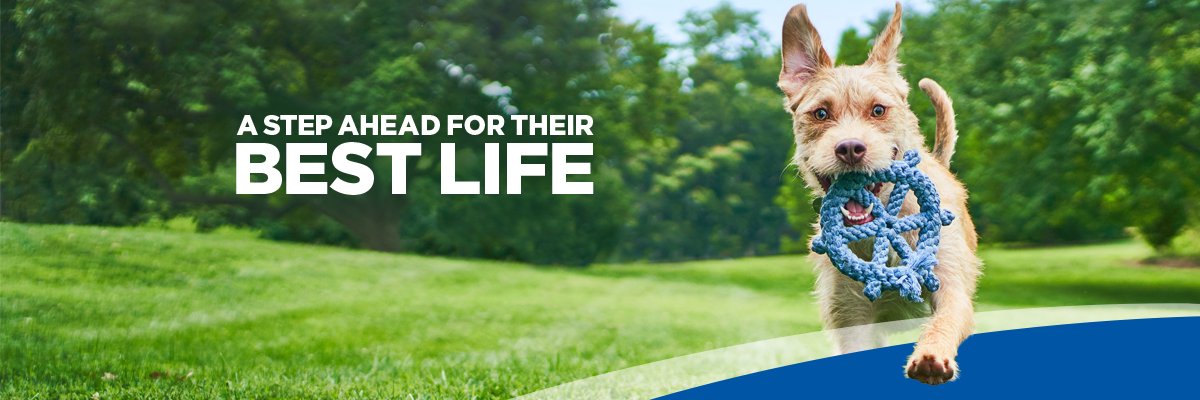 Hill's Vets, Vet Nurses and Students UK & IE banner