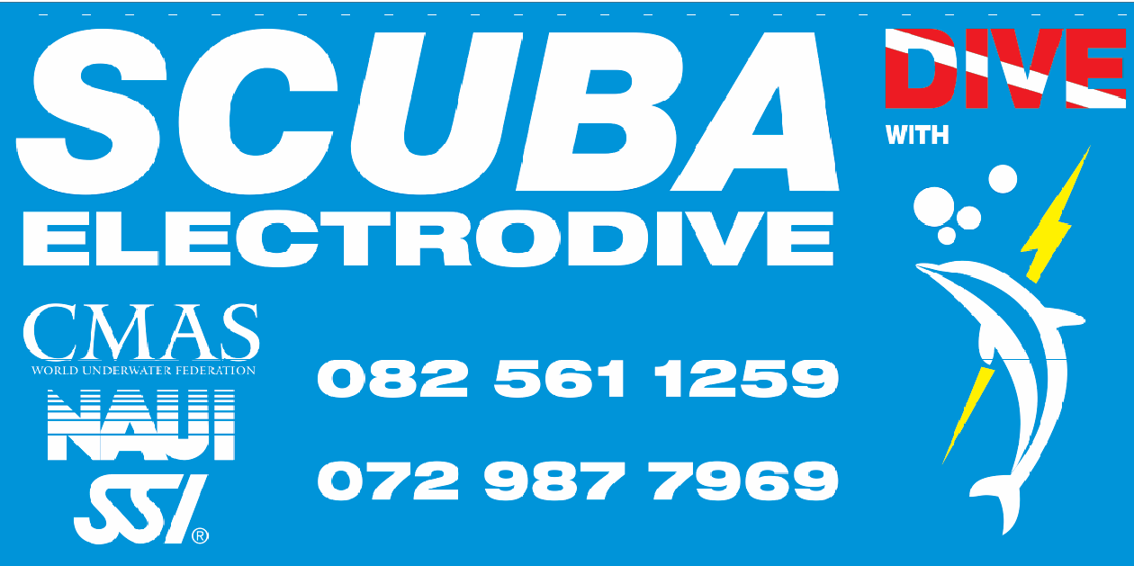 Electrodive's profile banner image