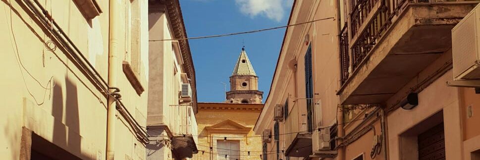 Fabio Bortone banner