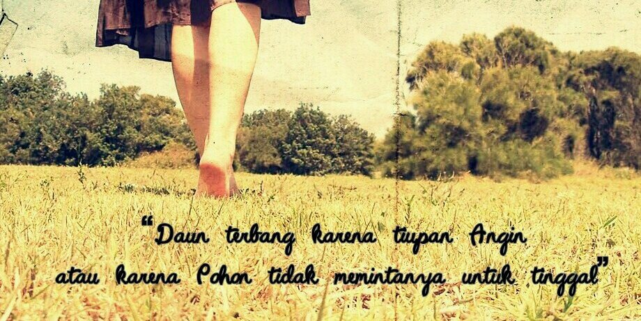 rhani_tyo's profile banner image