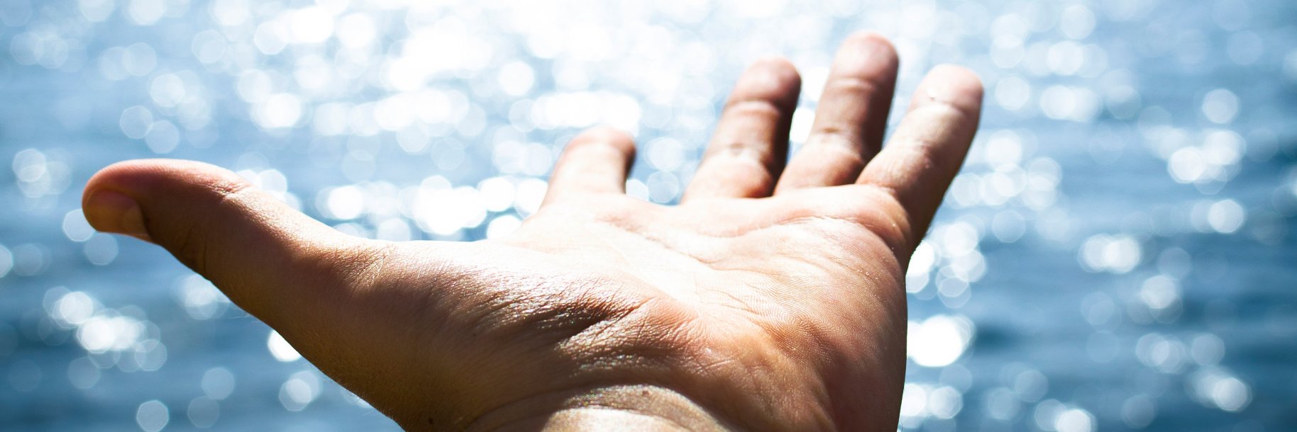 Krzysztof Wysocki banner