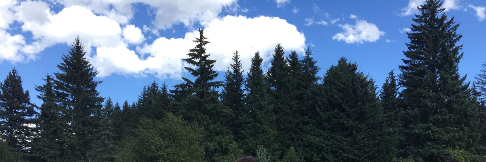 jayshin2019's profile banner image