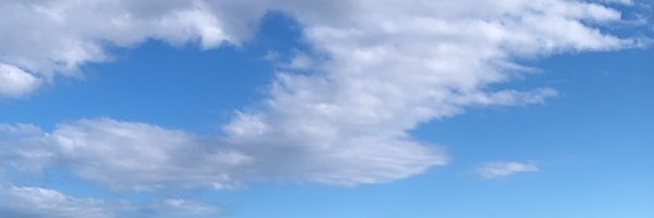 kellyaacoghlan Profile Banner