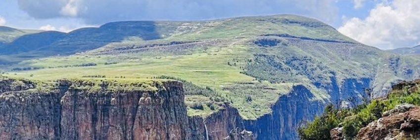 macdonaldndou's profile banner image
