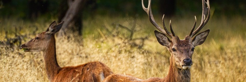 grang3's profile banner image