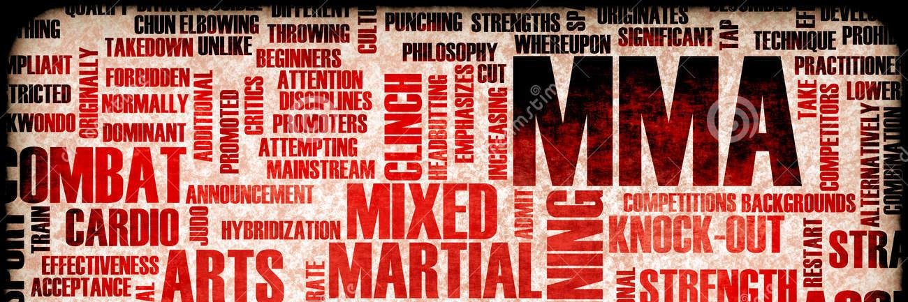 MMAgodz's profile banner image