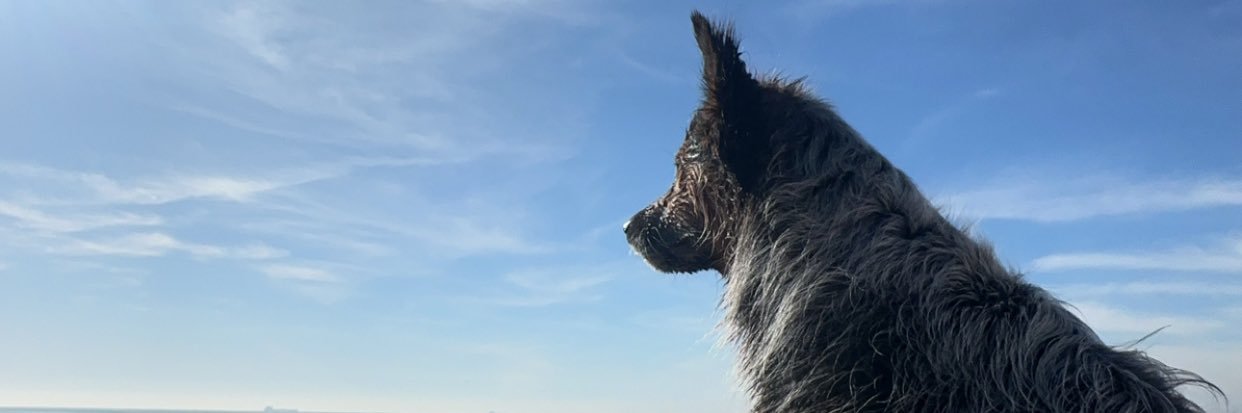 jacklindblade60's profile banner image
