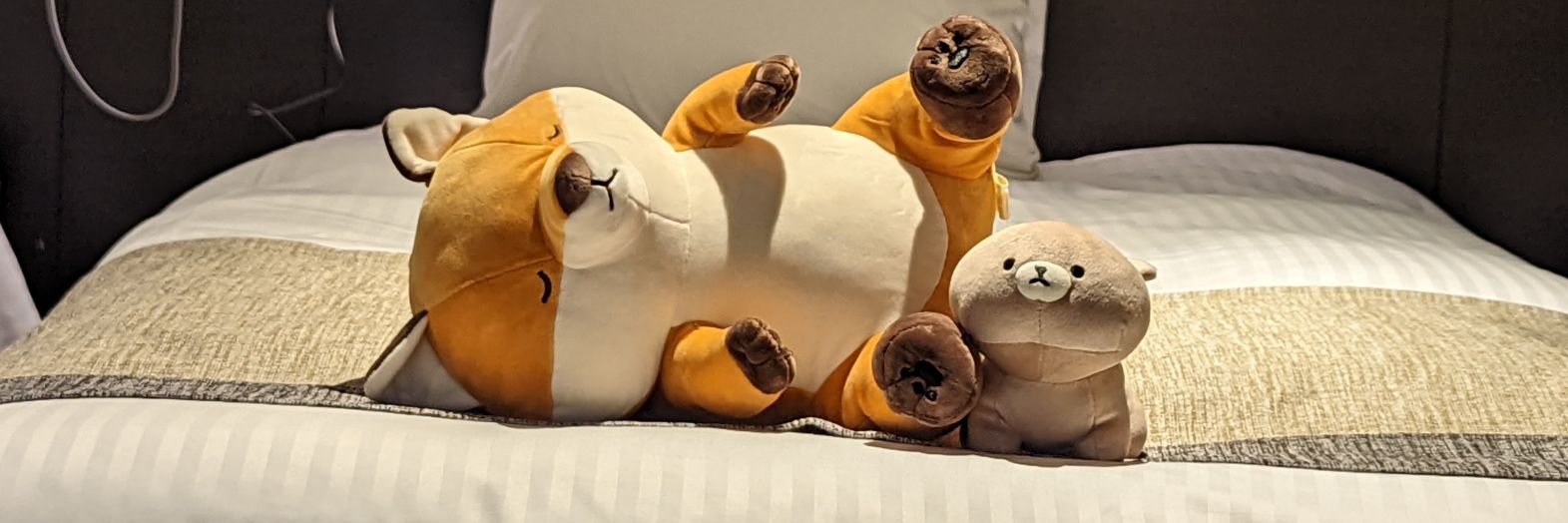 donut_nosuke's profile banner image