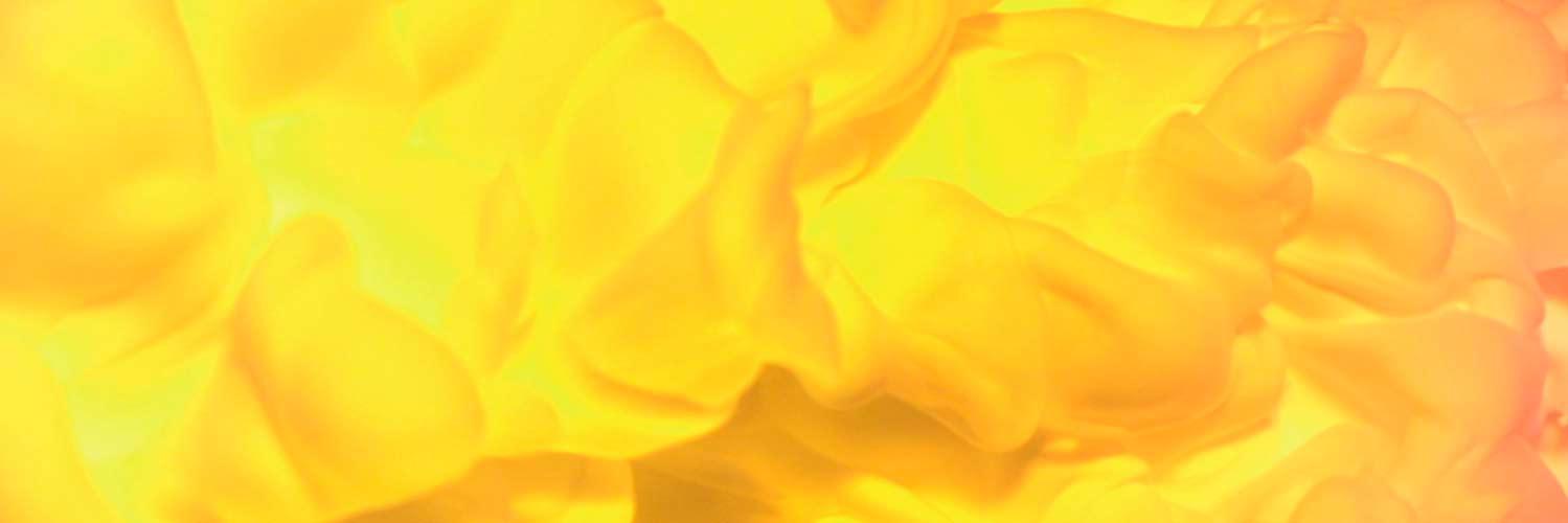 btflevrthng's profile banner image