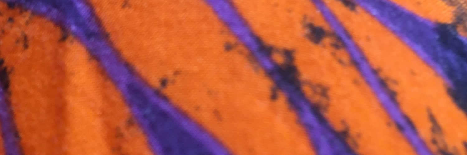 marianne vk holtman banner