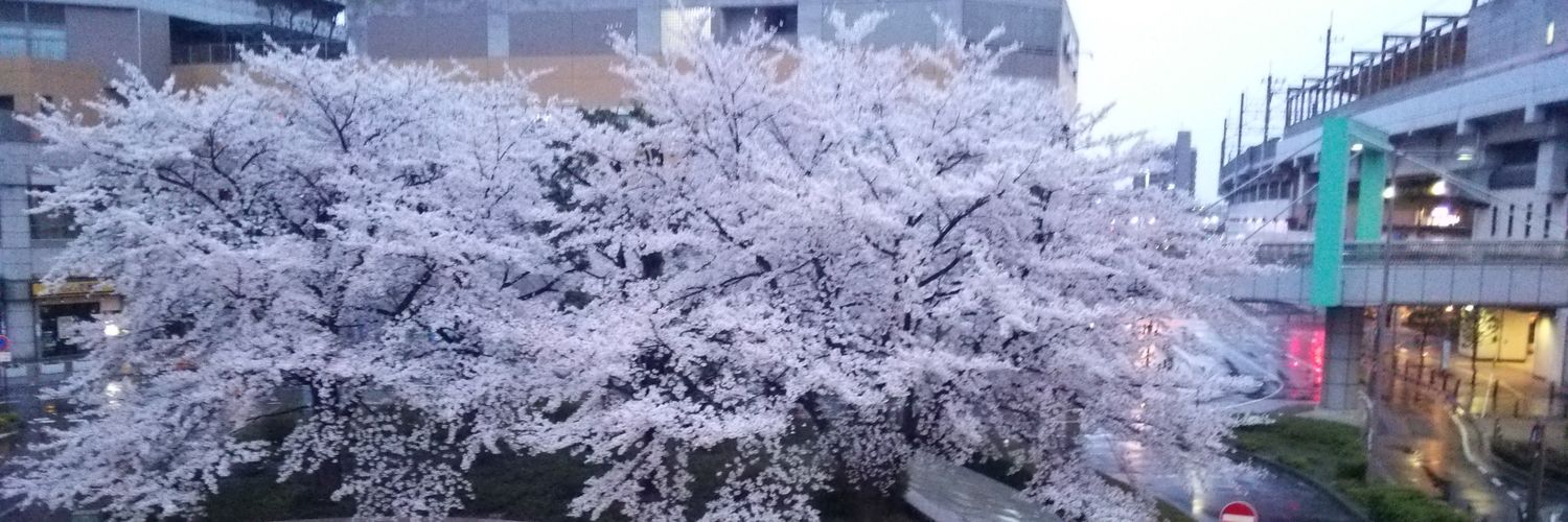no_nakai's profile banner image