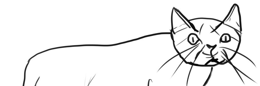 Alice_Hanakaze's profile banner image