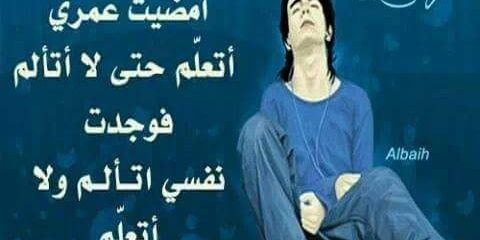 7980b522fd07463's profile banner image