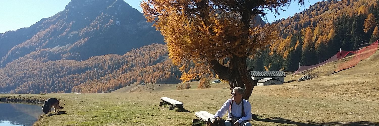 AuguDeCa's profile banner image