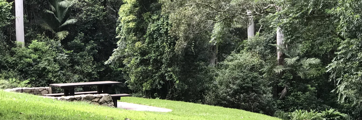 Judith Singleton banner