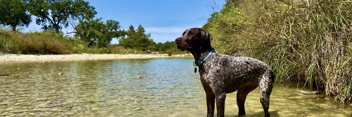 Yosefa Modiano, PhD banner