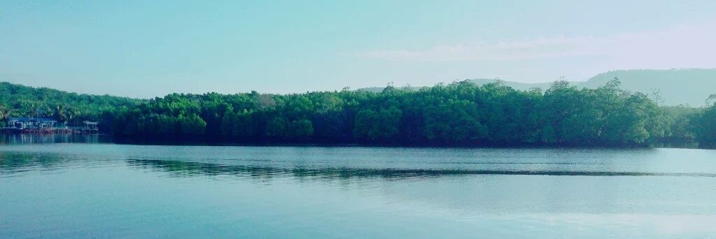 lizfantaghiro's profile banner image