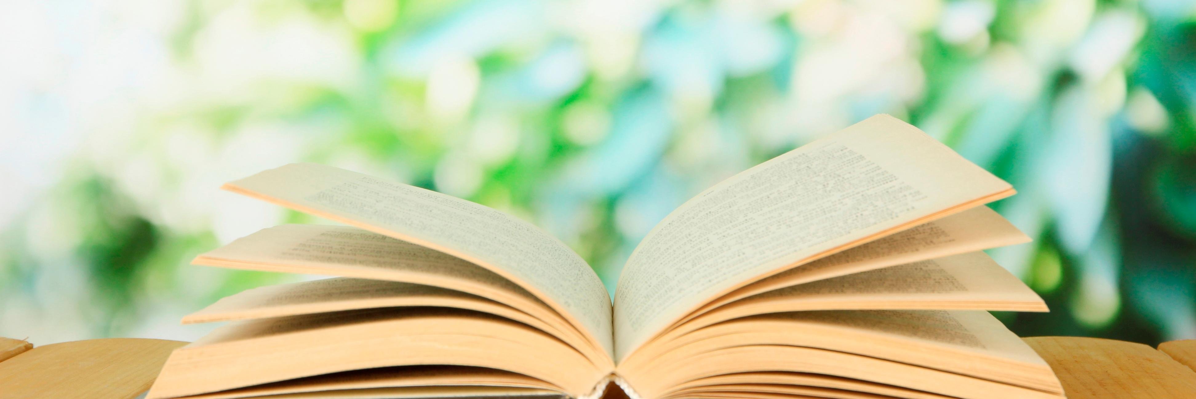 StAugustine'sEnglish banner