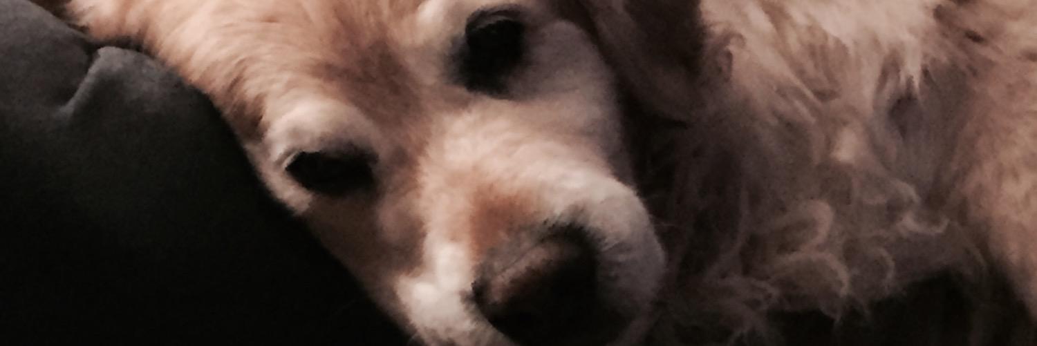 Jamiel72's profile banner image
