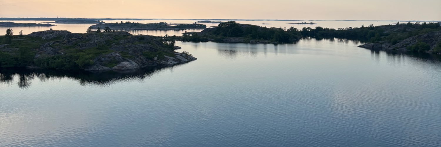 anttireijonen's profile banner image