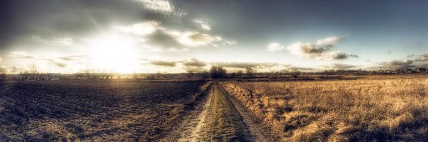 revilogerg Profile Banner