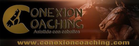 CONEXIONCOACHIN's profile banner image