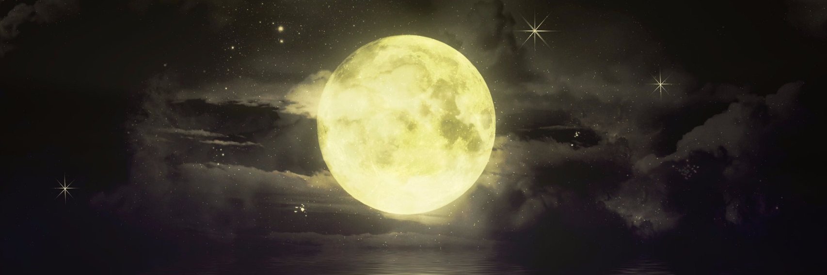 suatkisioglu's profile banner image