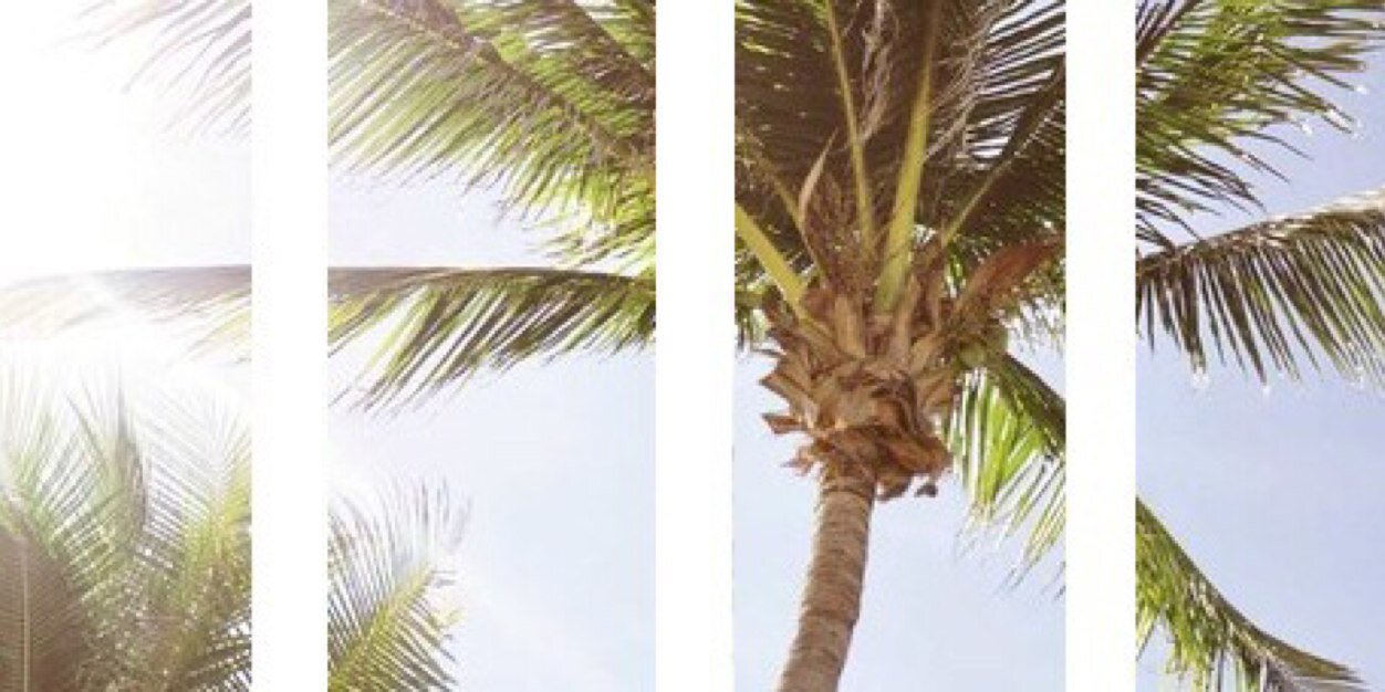 HayaKayed's profile banner image