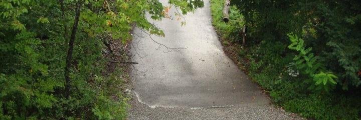 Bini Ramachandran banner