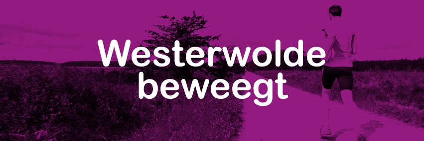 Gemeente Westerwolde Beweegt banner