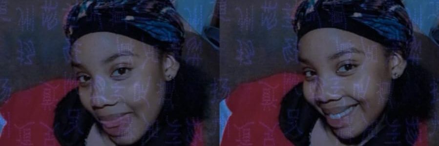Bra Slebza banner