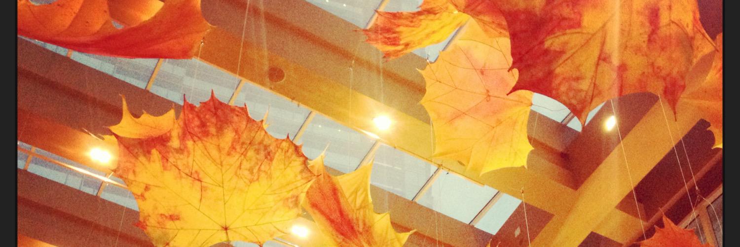 Jason Rudman (@jasonrudman) / Posts / X