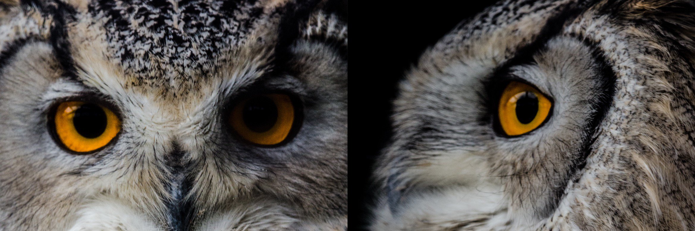 ailsa_watson95's profile banner image
