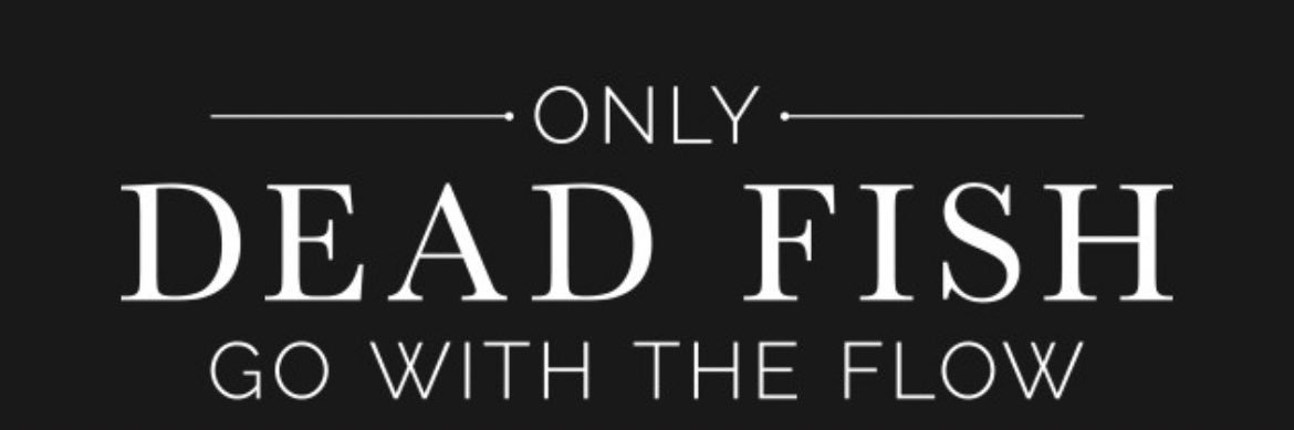 Satu Ahopelto 💙 💛 banner