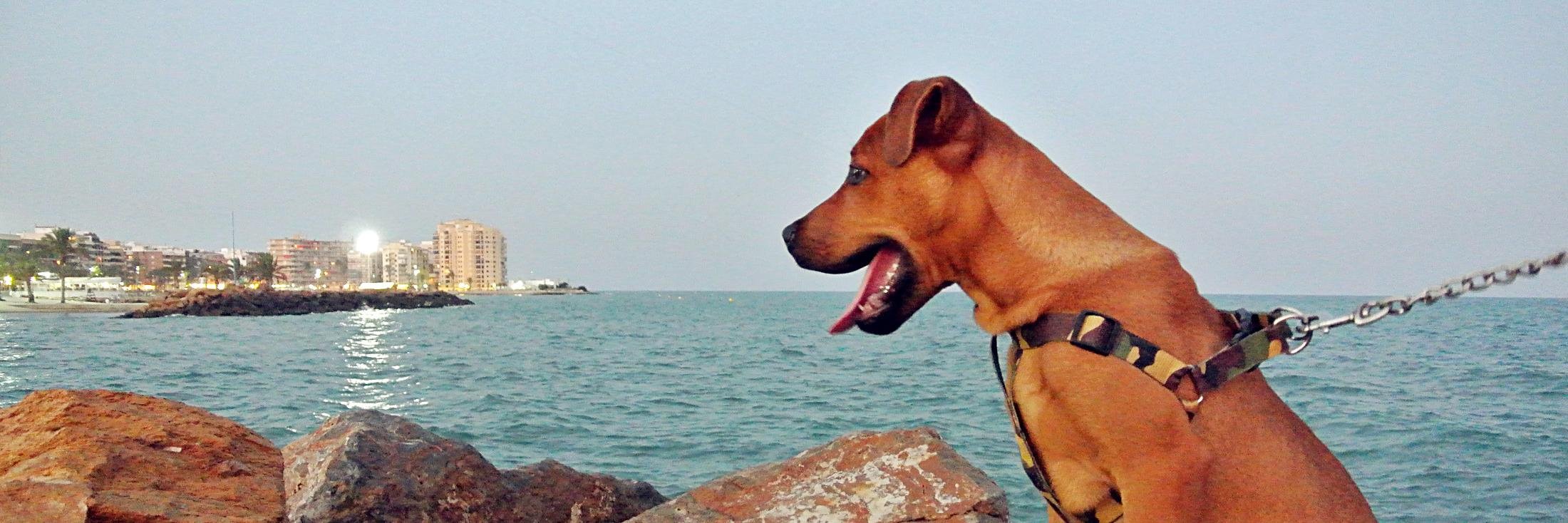 irkit_'s profile banner image