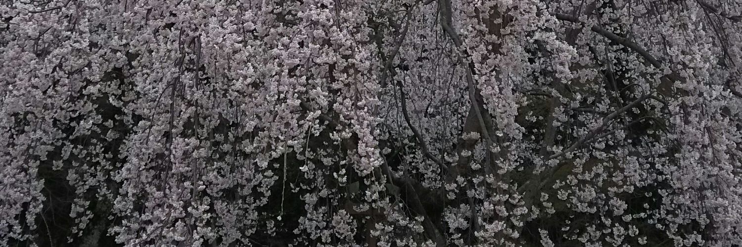 ron5692's profile banner image