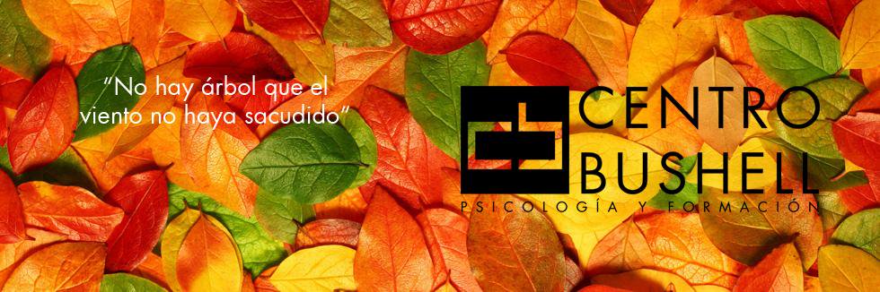 CentroBushell's profile banner image