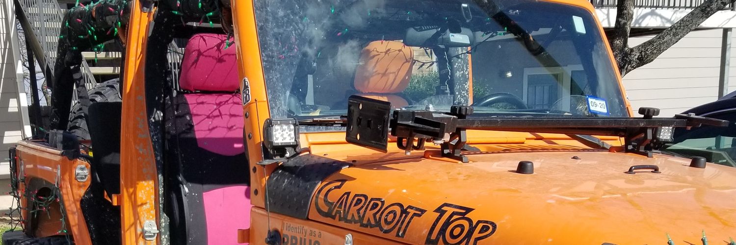 Real_Carrot_Top's profile banner image