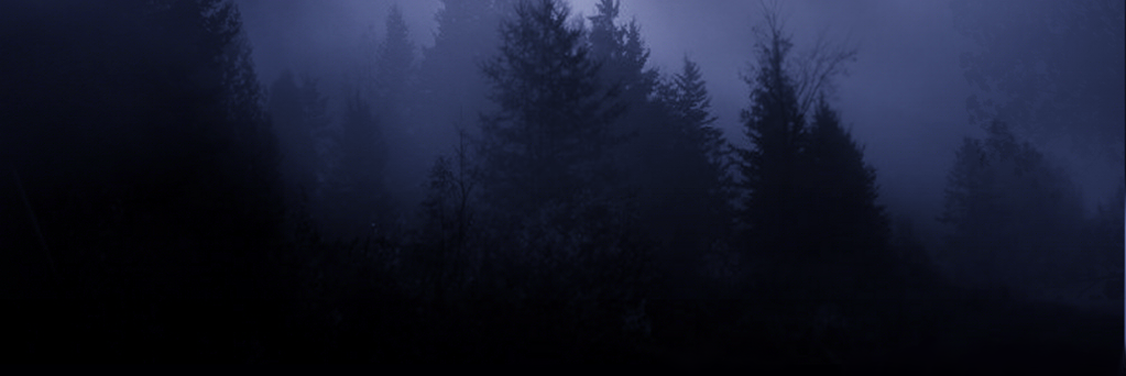 AccursedYears's profile banner image