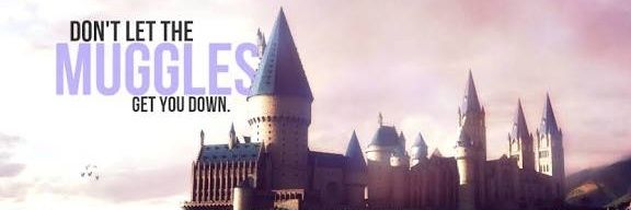 Potterifics's profile banner image